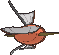 magikarp sprite 153