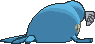 sealeo