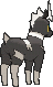 blitzle
