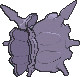 cloyster