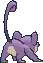 rattata