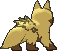 poochyena