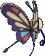 beautifly