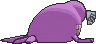 sealeo