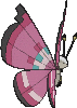 vivillon