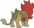 pyroar male