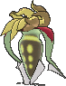 malamar