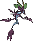 dragalge