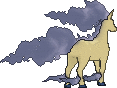 rapidash