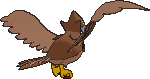 staraptor