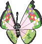 /pokemon/666?variety=vivillon-fancy