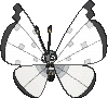 /pokemon/666?variety=vivillon-icy-snow
