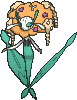 /pokemon/671?variety=florges-orange