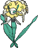 /pokemon/671?variety=florges-yellow