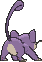 rattata
