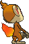 chimchar