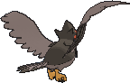 staraptor