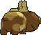 hippopotas