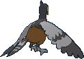unfezant