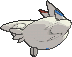 togekiss