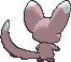 minccino