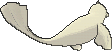 dewgong