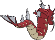 gyarados