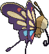 beautifly