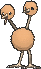 doduo