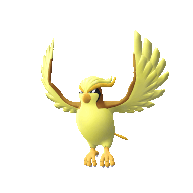 pidgeot sprite 134