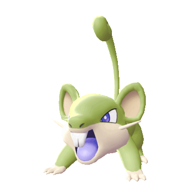 rattata sprite 172