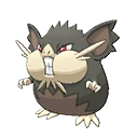 raticate totem-alola