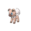 rockruff own-tempo