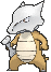 /pokemon/105