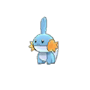 mudkip