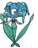 /pokemon/671?variety=florges-blue