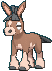 /pokemon/749