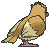 pidgey sprite 124