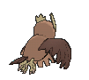 noctowl sprite 100