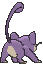 Rattata Back