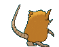 Raticate Back