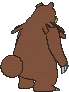 ursaring sprite 146