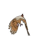 Fearow Back