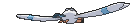 Wingull Back