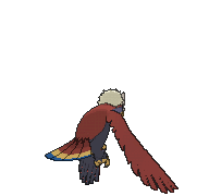 Braviary Back
