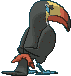 Toucannon Back