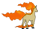 rapidash sprite 118