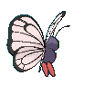 Butterfree Shiny back