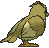 pidgey sprite 122