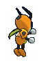Ledian Shiny back